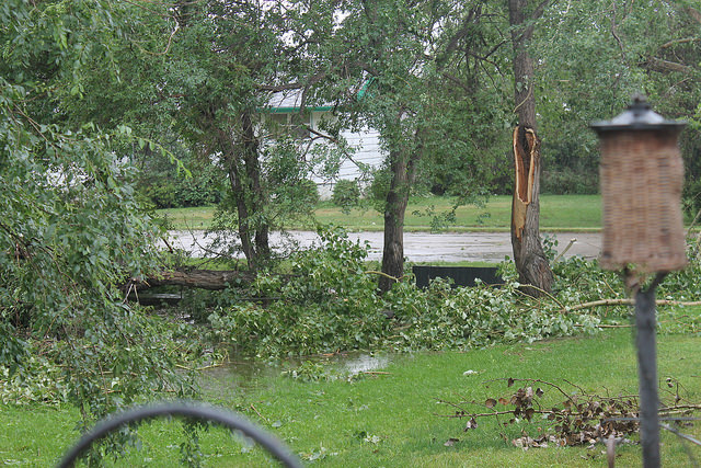 4 Tips for Cleaning Your Yard of Trees & Debris After a California ...